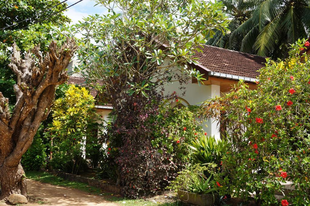 Tandem Guesthouse Hikkaduwa Exterior photo